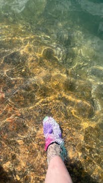 ホワイトウイングに投稿された画像（2025/10/14）