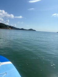 ホワイトウイングに投稿された画像（2025/10/14）