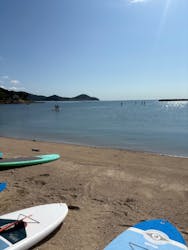 ホワイトウイングに投稿された画像（2025/10/14）