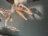 福井県立恐竜博物館に投稿された画像（2025/10/14）