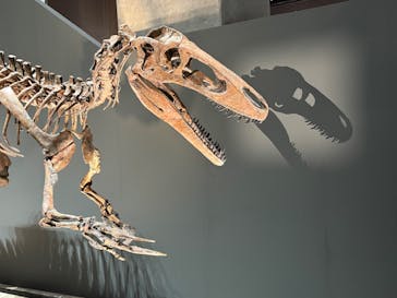 福井県立恐竜博物館に投稿された画像（2025/10/14）