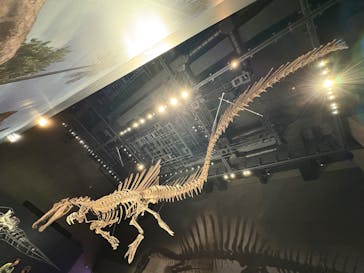 福井県立恐竜博物館に投稿された画像（2025/10/14）
