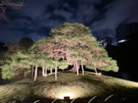 夜間特別開園 秋の夜長の小石川後楽園2025に投稿された画像（2025/10/14）