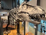 福井県立恐竜博物館に投稿された画像（2025/10/14）