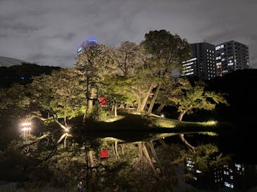 夜間特別開園 秋の夜長の小石川後楽園2025に投稿された画像（2025/10/14）