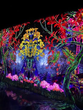 チームラボフォレスト 福岡 - SBI証券に投稿された画像（2025/10/14）