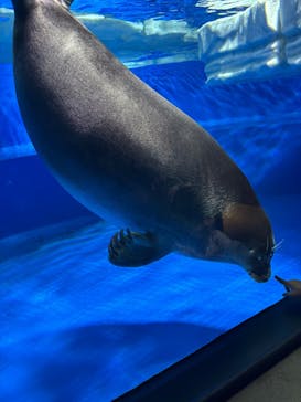 サンシャイン水族館に投稿された画像（2025/10/14）