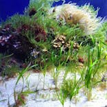 名古屋港水族館に投稿された画像（2025/10/15）