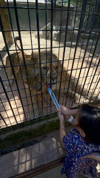 しろとり動物園に投稿された画像（2025/10/14）