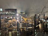 福井県立恐竜博物館に投稿された画像（2025/10/15）