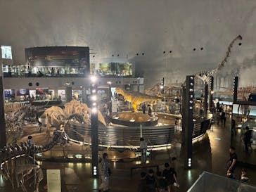 福井県立恐竜博物館に投稿された画像（2025/10/14）