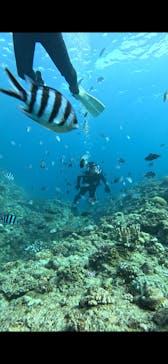 武藤潜水に投稿された画像（2025/10/15）