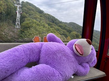 のぼりべつクマ牧場に投稿された画像（2025/10/15）