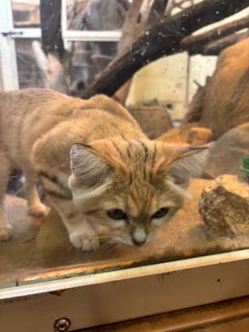 こども動物自然公園（埼玉県公園緑地協会）に投稿された画像（2025/10/15）