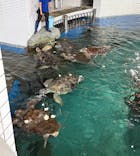 名古屋港水族館に投稿された画像（2025/10/15）