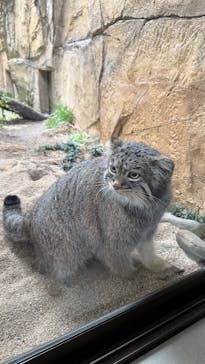 那須どうぶつ王国に投稿された画像（2025/10/15）