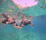 沖縄マリンサービス碧に投稿された画像（2025/10/15）