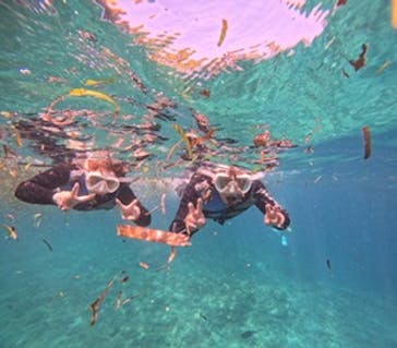 沖縄マリンサービス碧に投稿された画像（2025/10/15）