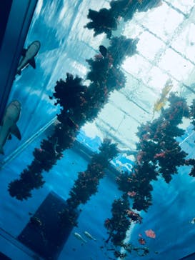 仙台うみの杜水族館に投稿された画像（2025/10/15）