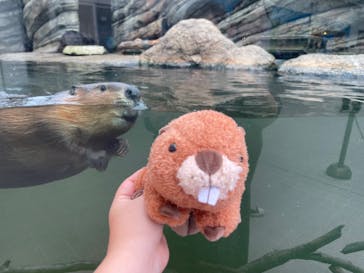 仙台うみの杜水族館に投稿された画像（2025/10/15）