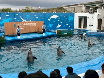 仙台うみの杜水族館に投稿された画像（2025/10/15）