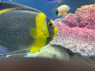 サンシャイン水族館に投稿された画像（2025/10/15）