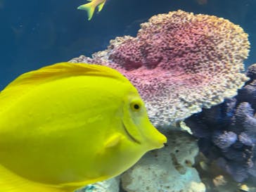サンシャイン水族館に投稿された画像（2025/10/15）