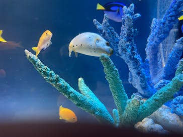 サンシャイン水族館に投稿された画像（2025/10/15）