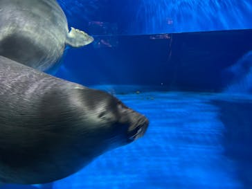 サンシャイン水族館に投稿された画像（2025/10/15）