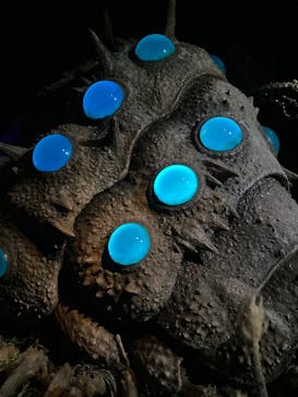 金曜ロードショーとジブリ展（静岡展）に投稿された画像（2025/10/15）