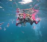 沖縄マリンサービス碧に投稿された画像（2025/10/15）