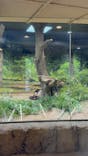 恩賜上野動物園に投稿された画像（2025/10/15）
