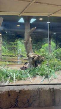 恩賜上野動物園に投稿された画像（2025/10/15）