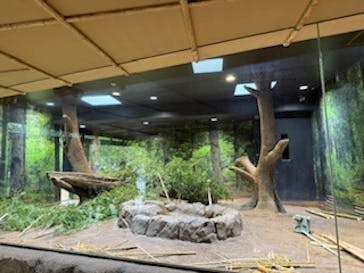 恩賜上野動物園に投稿された画像（2025/10/15）
