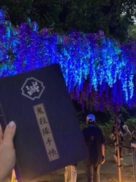 ニジゲンノモリに投稿された画像（2025/10/15）