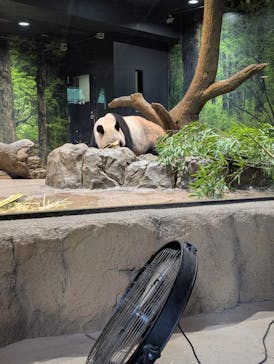 恩賜上野動物園に投稿された画像（2025/10/15）