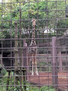恩賜上野動物園に投稿された画像（2025/10/15）