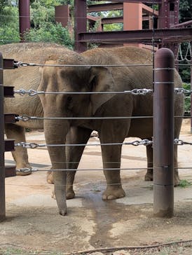 恩賜上野動物園に投稿された画像（2025/10/15）