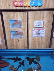 すさみ町立エビとカニの水族館に投稿された画像（2025/10/15）