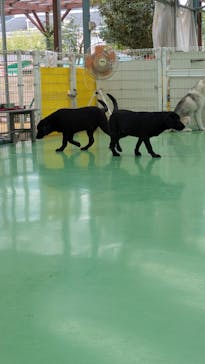 つくばわんわんランドに投稿された画像（2025/10/15）