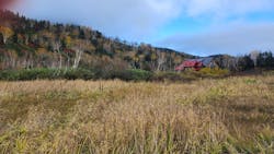 つがいけマウンテンリゾートに投稿された画像（2025/10/15）