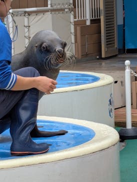 サンシャイン水族館に投稿された画像（2025/10/15）