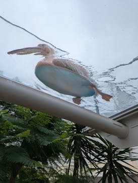 サンシャイン水族館に投稿された画像（2025/10/15）