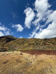 つがいけマウンテンリゾートに投稿された画像（2025/10/15）