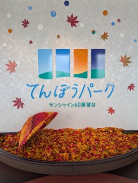 サンシャイン60展望台に投稿された画像（2025/10/15）