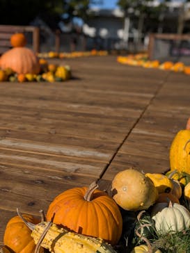 ノーザンホースパークに投稿された画像（2025/10/15）