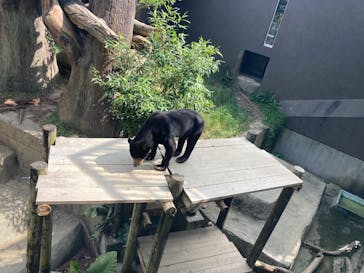 沖縄こどもの国に投稿された画像（2025/10/15）