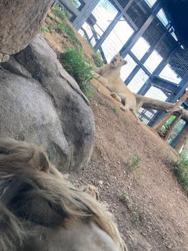 沖縄こどもの国に投稿された画像（2025/10/15）