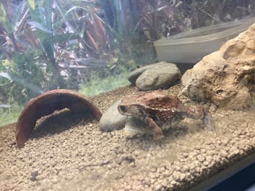 沖縄こどもの国に投稿された画像（2025/10/15）