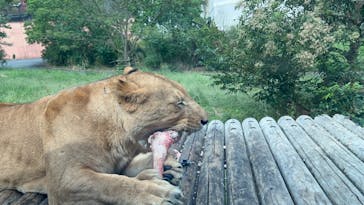 東京動物園協会_多摩動物公園に投稿された画像（2025/10/15）